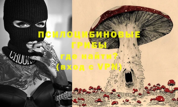 ГАЛЛЮЦИНОГЕННЫЕ ГРИБЫ Переславль-Залесский