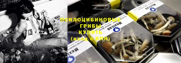 сатива Болохово